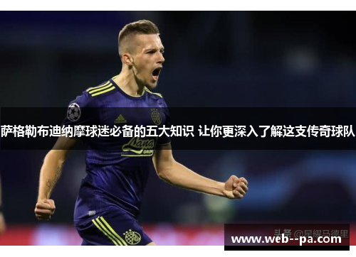 萨格勒布迪纳摩球迷必备的五大知识 让你更深入了解这支传奇球队