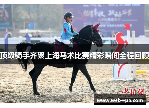 顶级骑手齐聚上海马术比赛精彩瞬间全程回顾