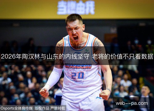 2026年陶汉林与山东的内线坚守 老将的价值不只看数据 2026年陶汉林与山东的内线坚守 老将的价值不只看数据